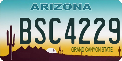 AZ license plate BSC4229