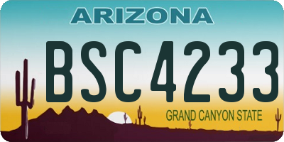 AZ license plate BSC4233