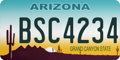 AZ license plate BSC4234