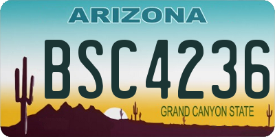 AZ license plate BSC4236