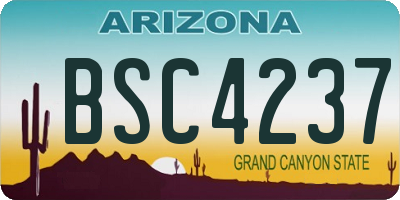 AZ license plate BSC4237