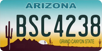 AZ license plate BSC4238