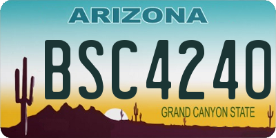 AZ license plate BSC4240