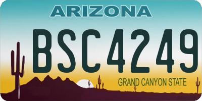 AZ license plate BSC4249