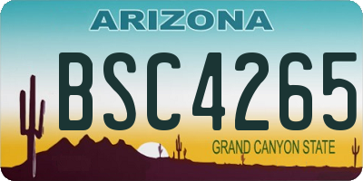 AZ license plate BSC4265