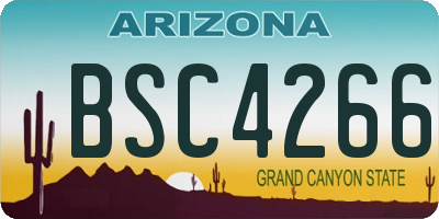 AZ license plate BSC4266