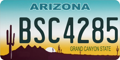 AZ license plate BSC4285