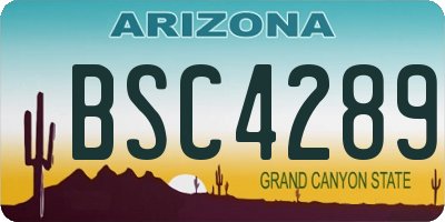 AZ license plate BSC4289