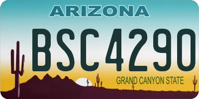 AZ license plate BSC4290