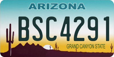 AZ license plate BSC4291