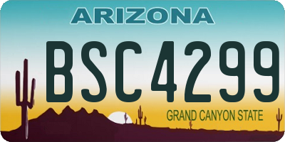 AZ license plate BSC4299