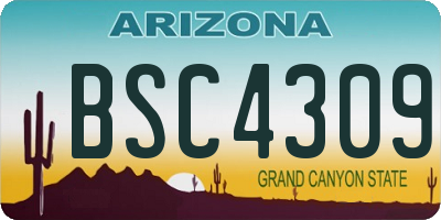 AZ license plate BSC4309