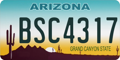 AZ license plate BSC4317