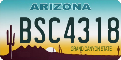 AZ license plate BSC4318