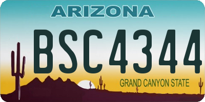 AZ license plate BSC4344