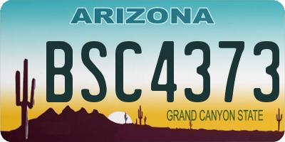 AZ license plate BSC4373