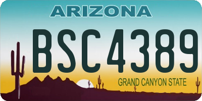 AZ license plate BSC4389