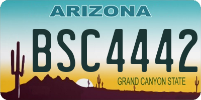 AZ license plate BSC4442