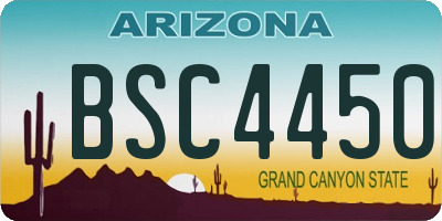 AZ license plate BSC4450