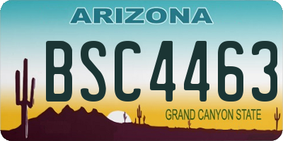 AZ license plate BSC4463