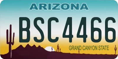 AZ license plate BSC4466