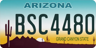 AZ license plate BSC4480