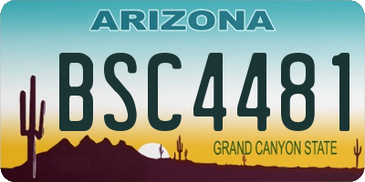 AZ license plate BSC4481