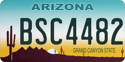 AZ license plate BSC4482