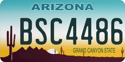 AZ license plate BSC4486