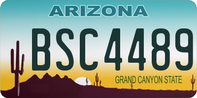 AZ license plate BSC4489