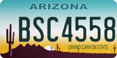 AZ license plate BSC4558