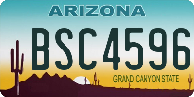 AZ license plate BSC4596