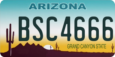 AZ license plate BSC4666