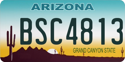 AZ license plate BSC4813