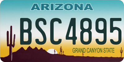 AZ license plate BSC4895