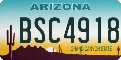 AZ license plate BSC4918