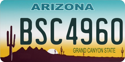 AZ license plate BSC4960