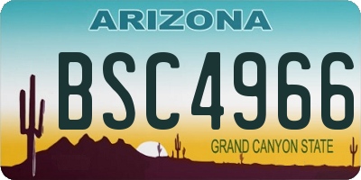 AZ license plate BSC4966