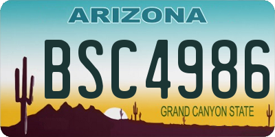 AZ license plate BSC4986