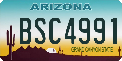 AZ license plate BSC4991