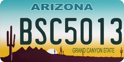 AZ license plate BSC5013