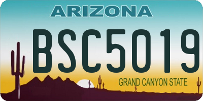 AZ license plate BSC5019