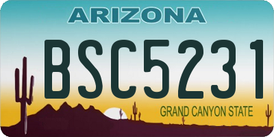 AZ license plate BSC5231