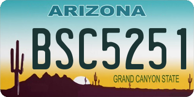 AZ license plate BSC5251