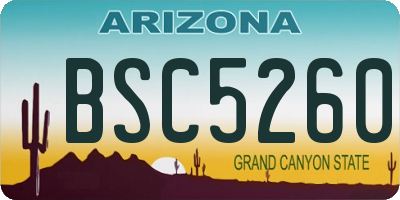 AZ license plate BSC5260