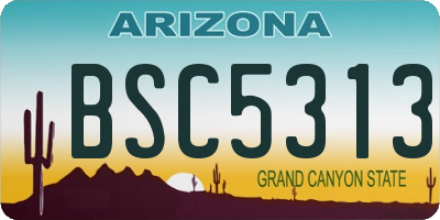 AZ license plate BSC5313