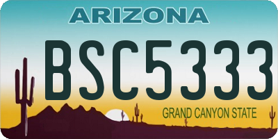 AZ license plate BSC5333