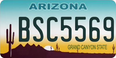 AZ license plate BSC5569