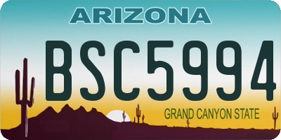 AZ license plate BSC5994