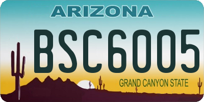 AZ license plate BSC6005